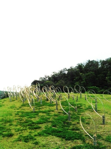 Answears blowing in the wind - Barbara Crimella